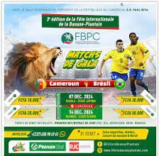 Cameroun: Football et promotion de la filière banane plantain